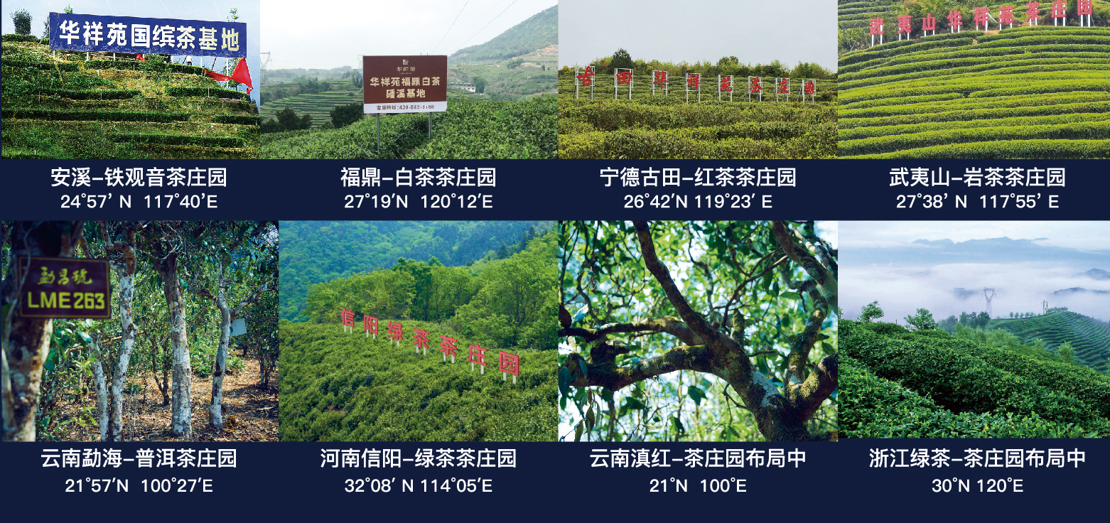 八大茶莊園