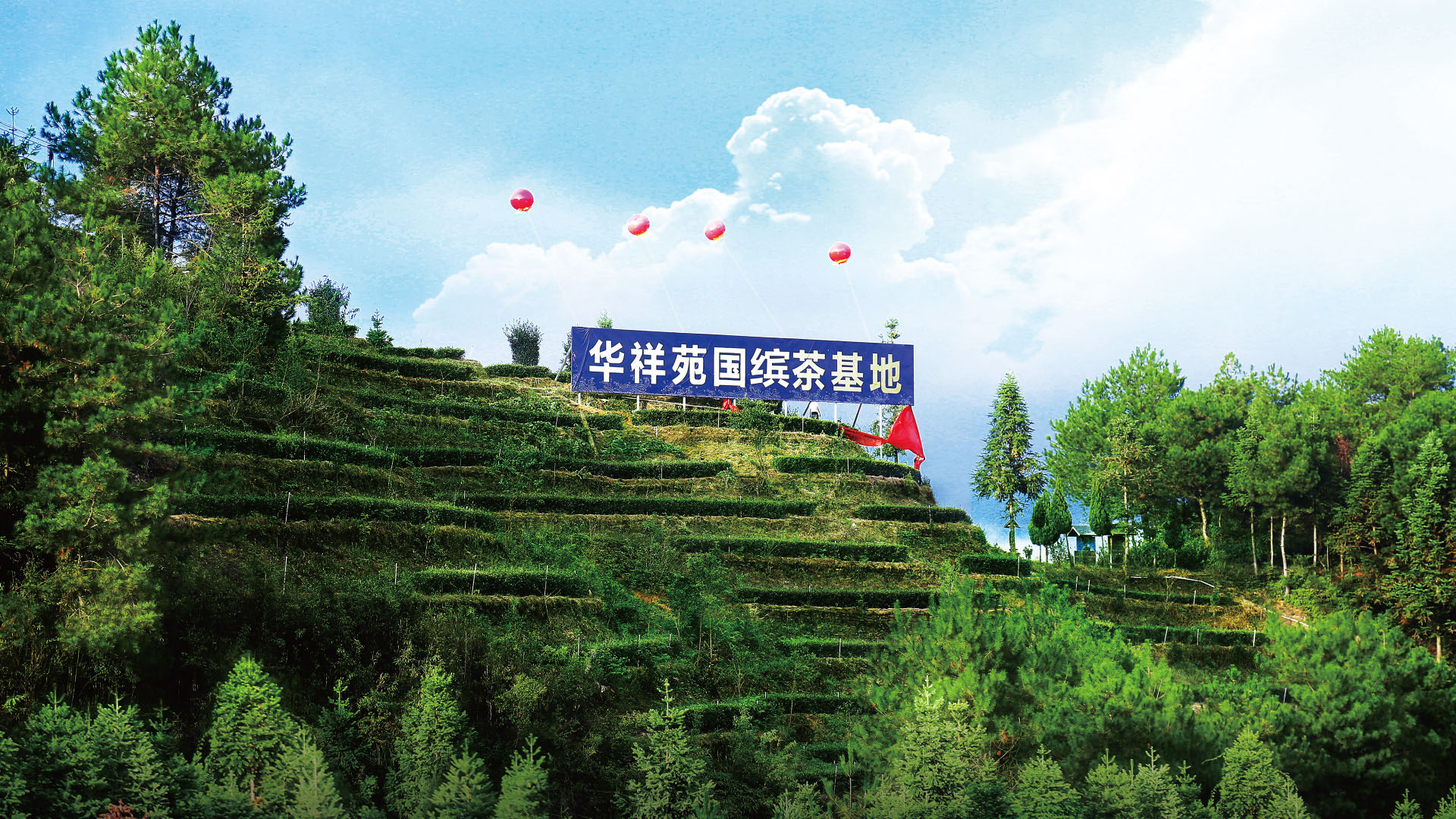 華祥苑招商會