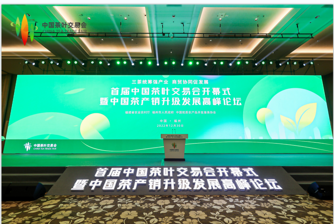 閩茶推廣之星