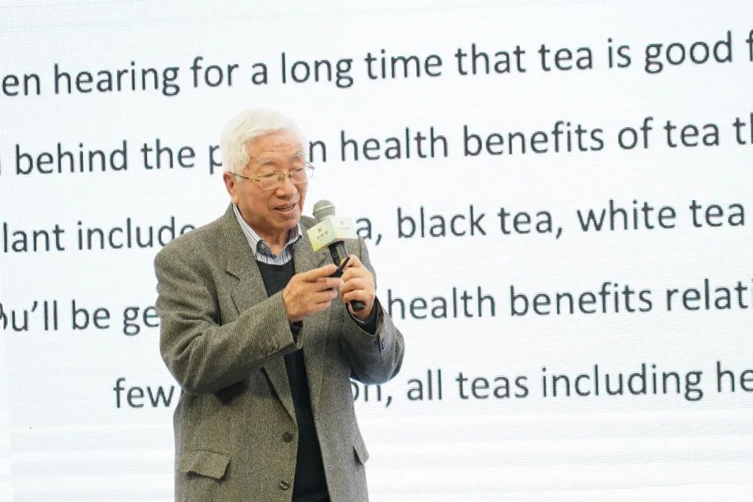 正季綠茶