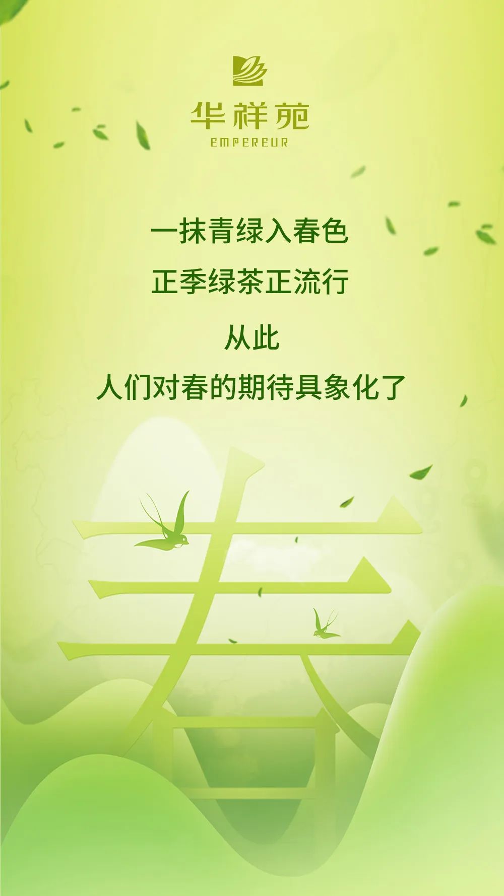 正季綠茶