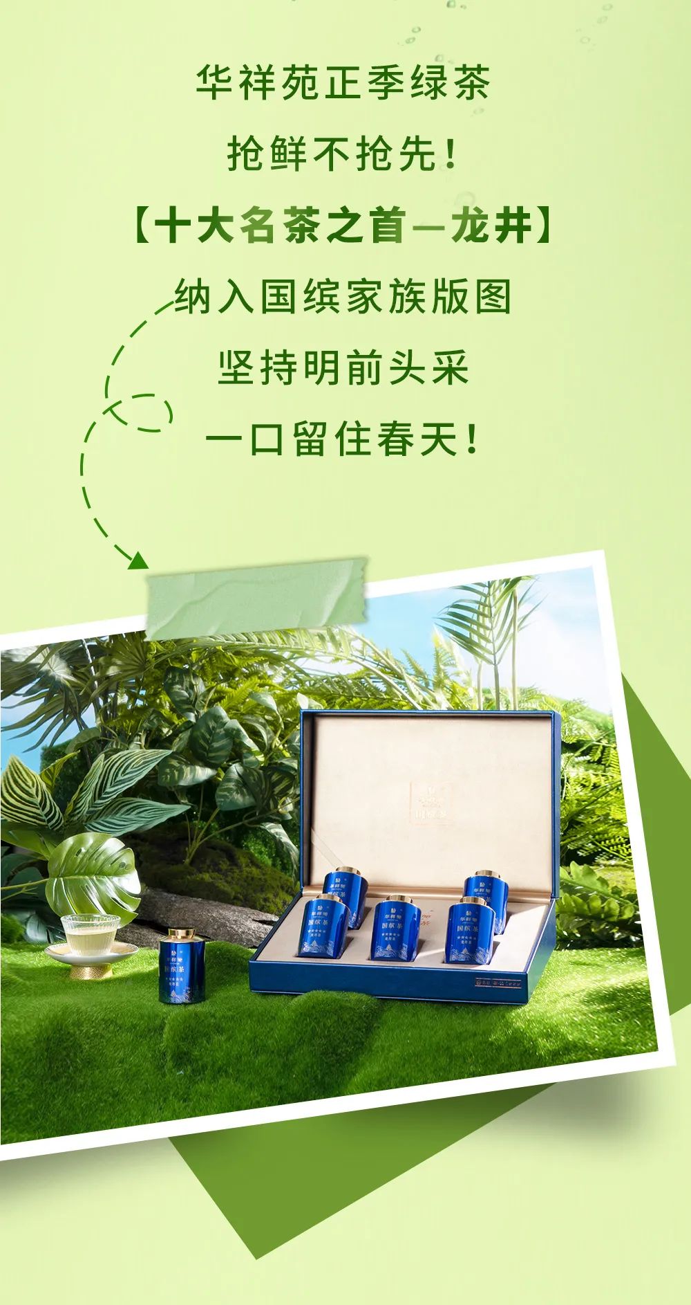 正季綠茶