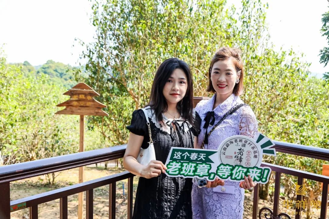 茶葉加盟