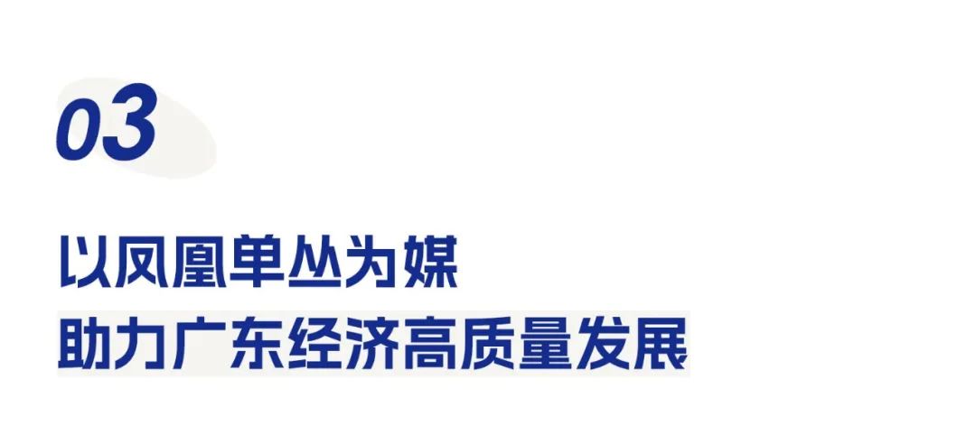鳳凰單叢