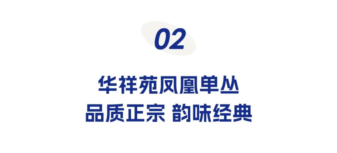 鳳凰單叢加盟