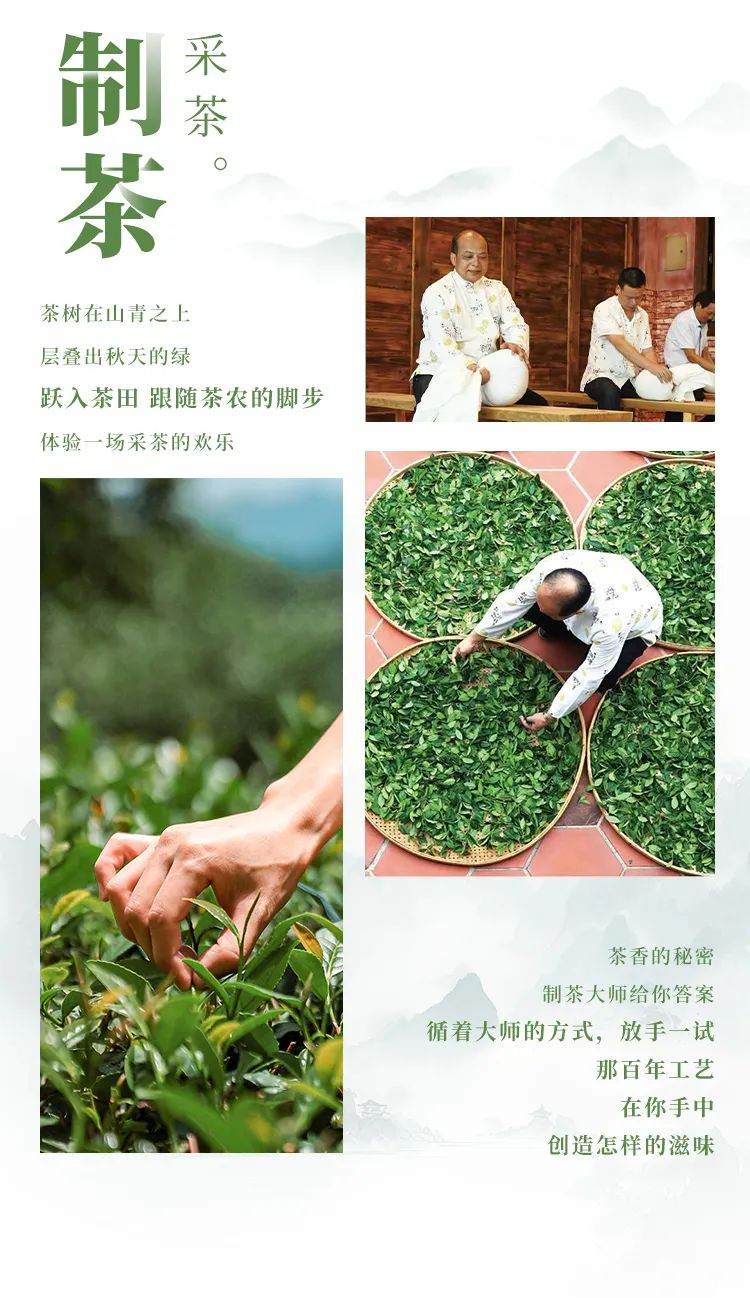 莊園茶加盟