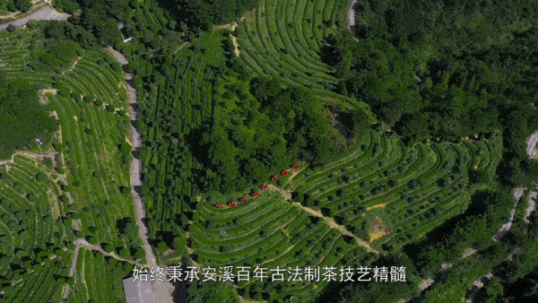 品質為先