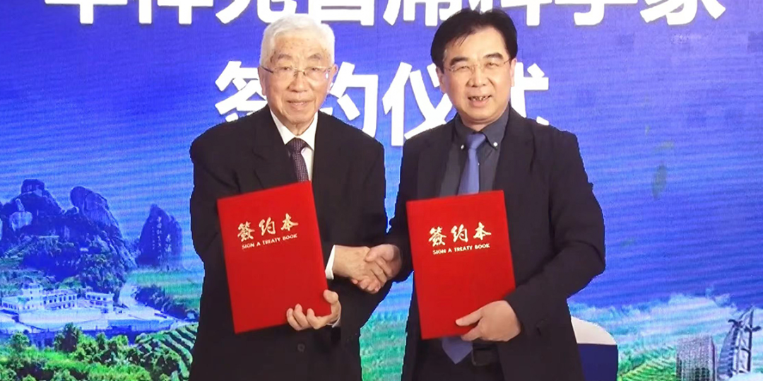 中國茶加盟