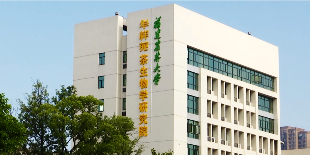 中國茶加盟