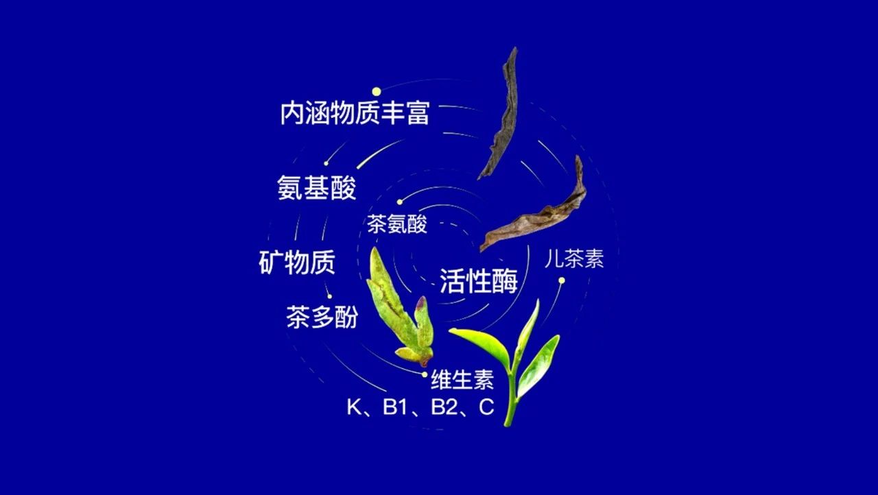 中國茶加盟