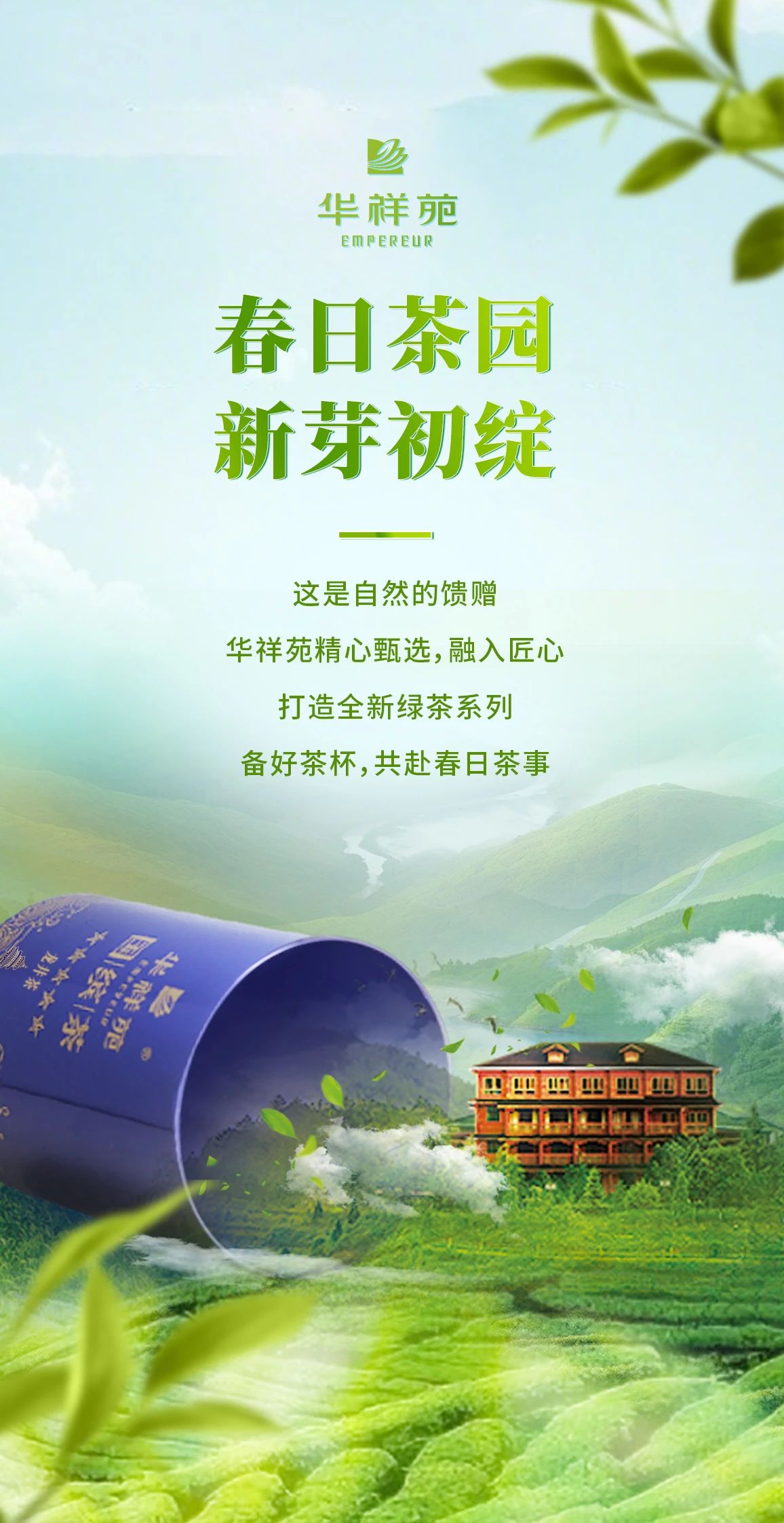 綠茶加盟