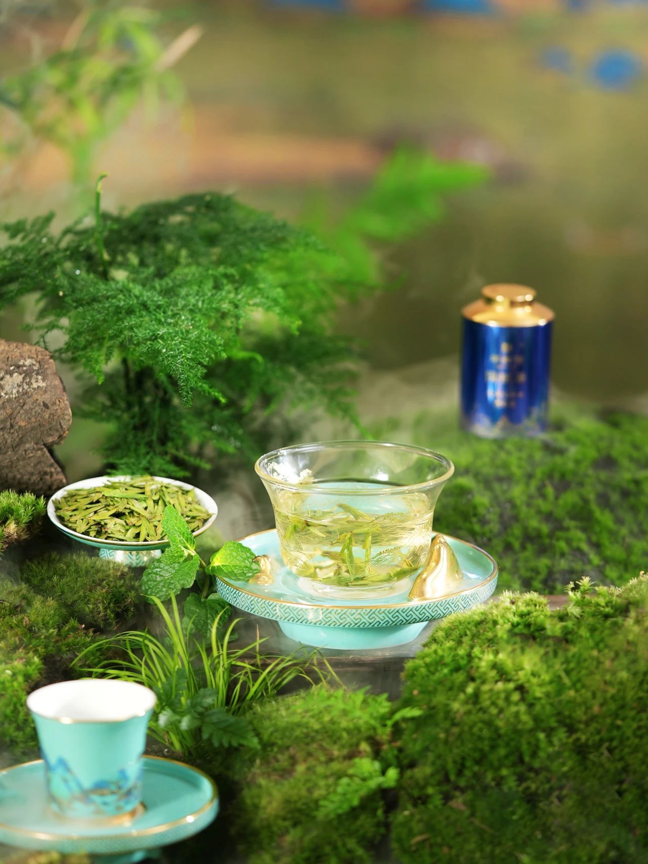 綠茶加盟