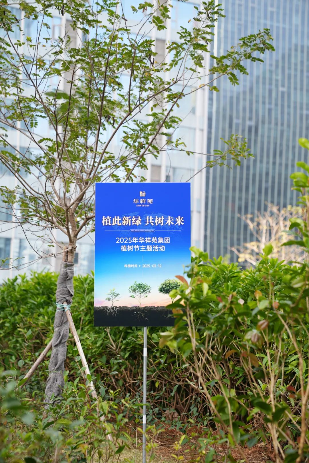 植樹節
