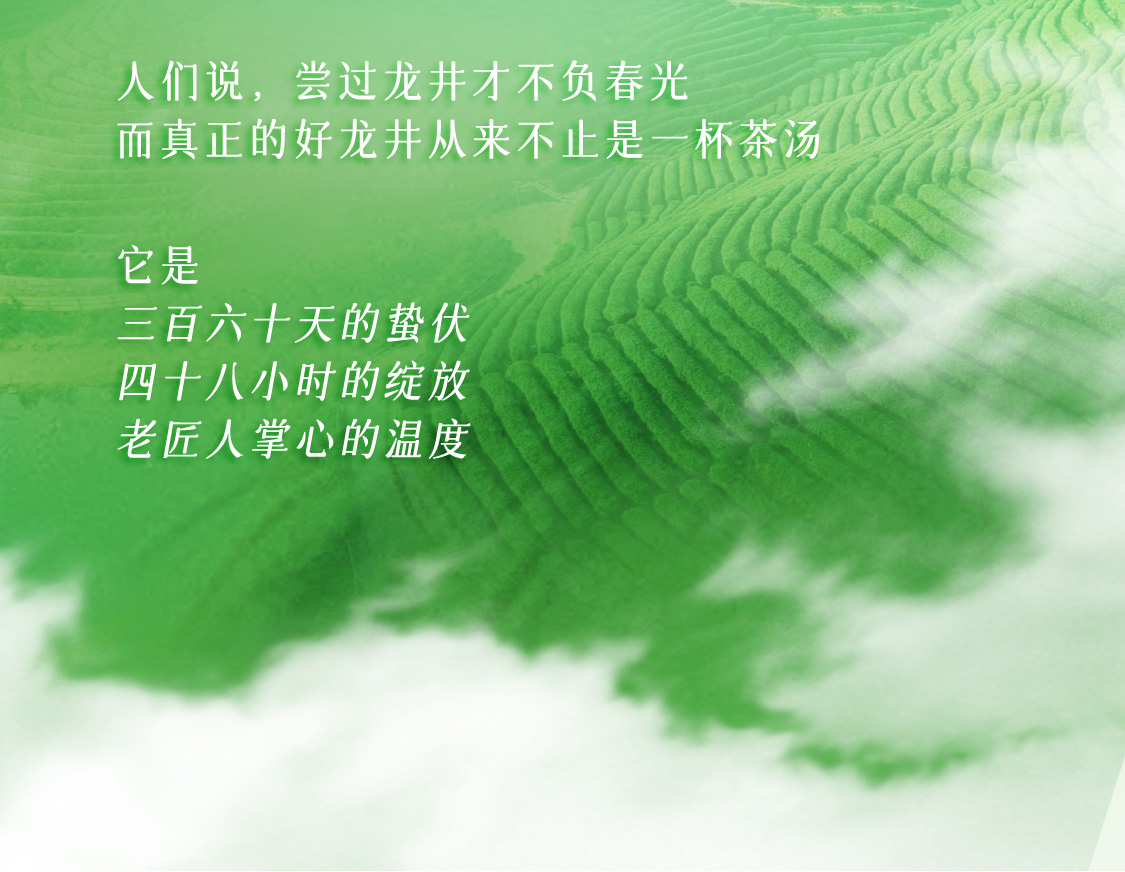 龍井茶