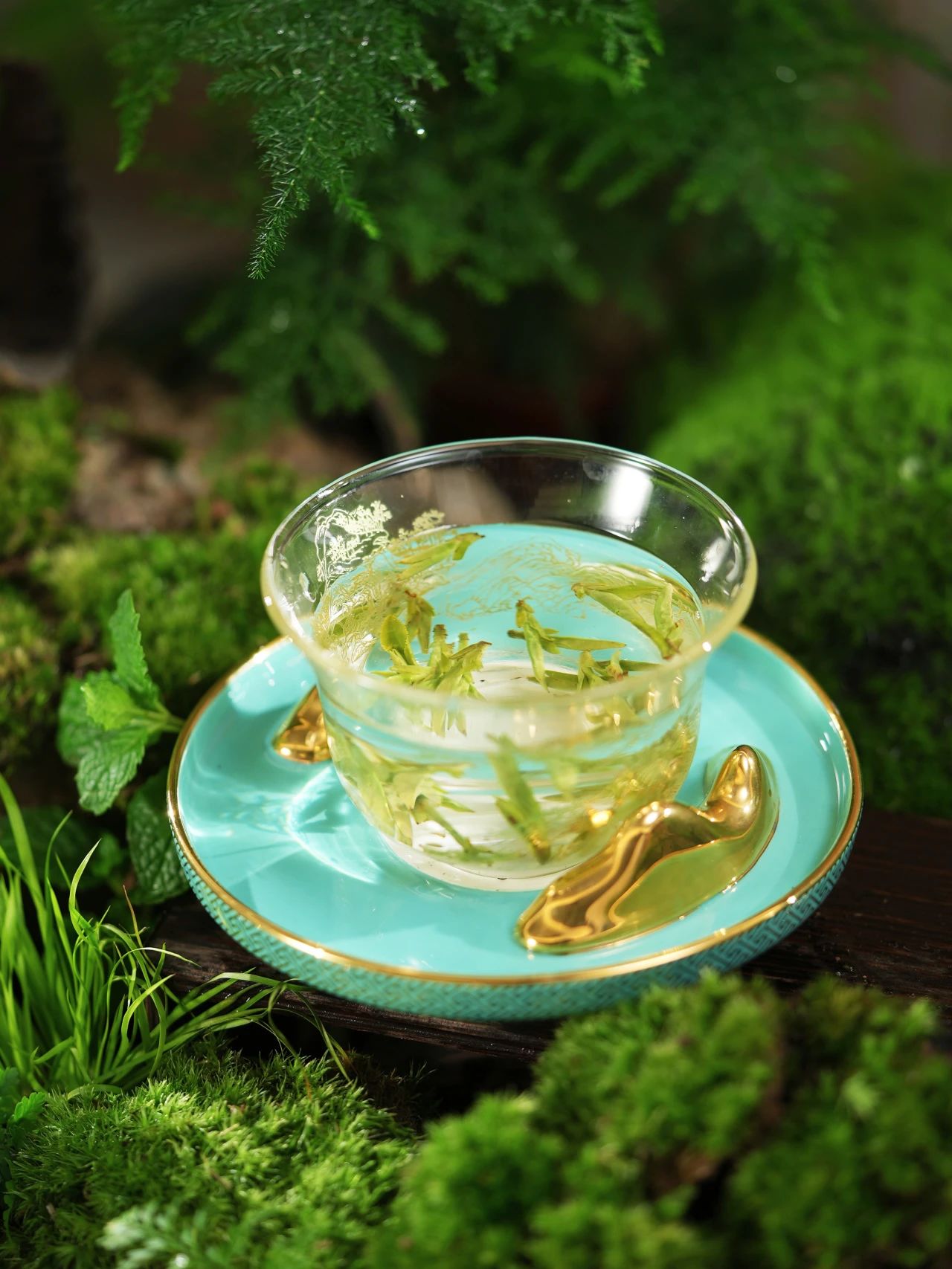 安吉白茶加盟