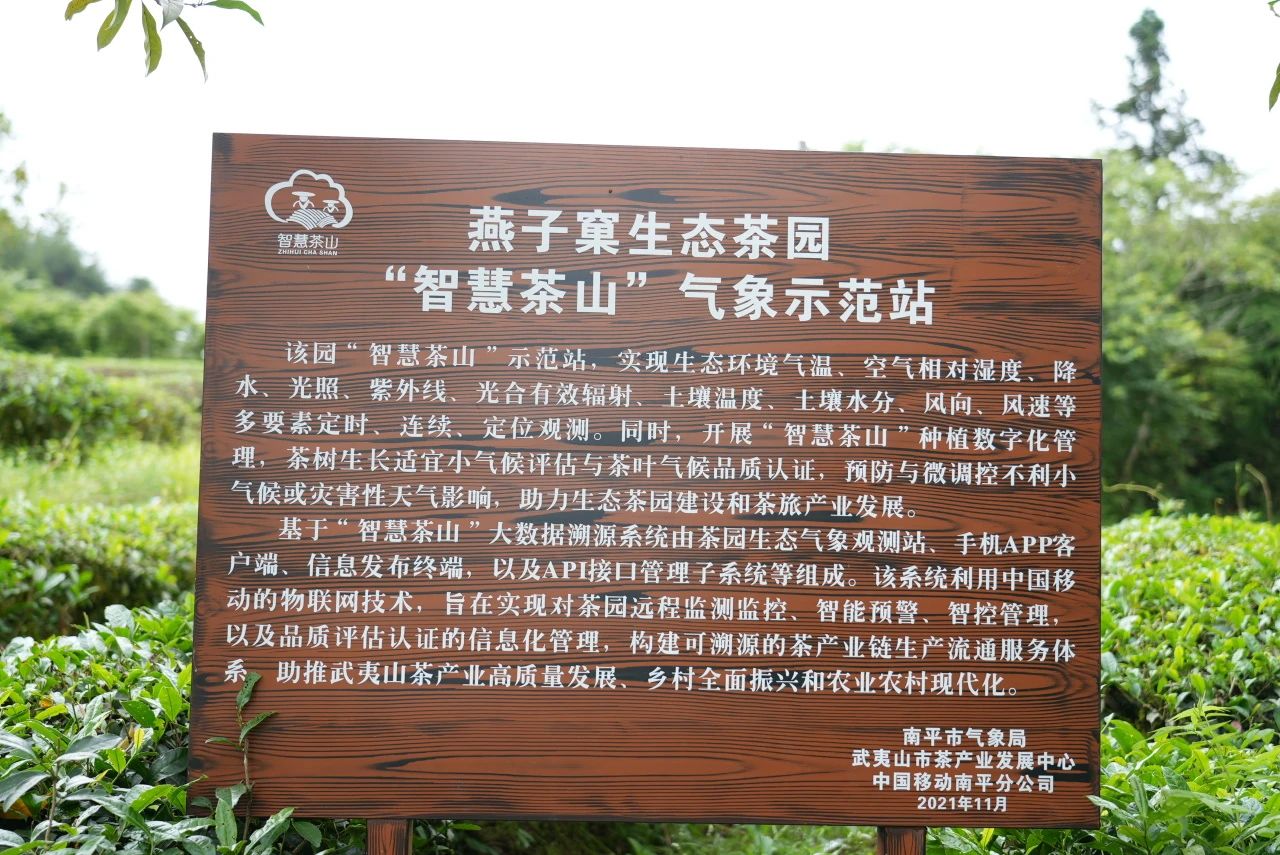 燕子窠