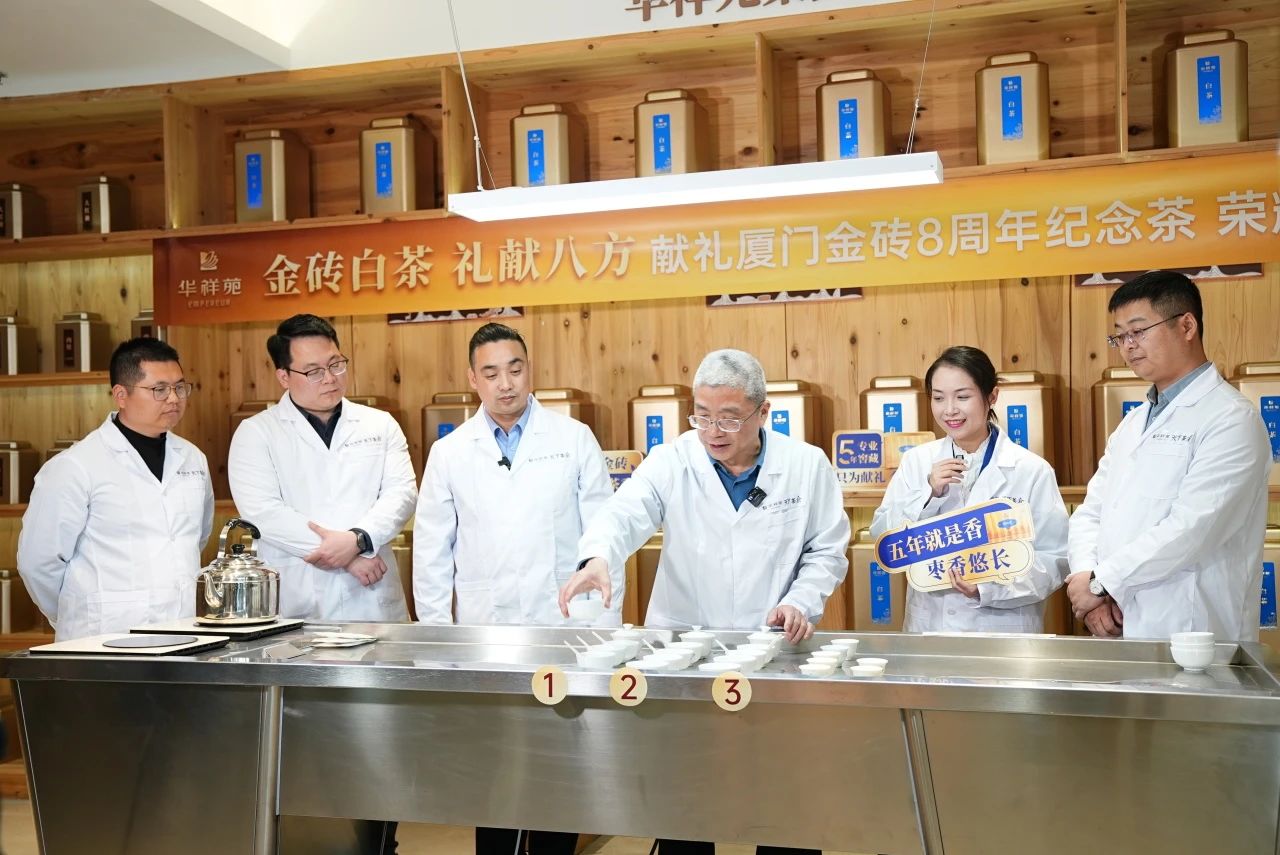 金磚白茶