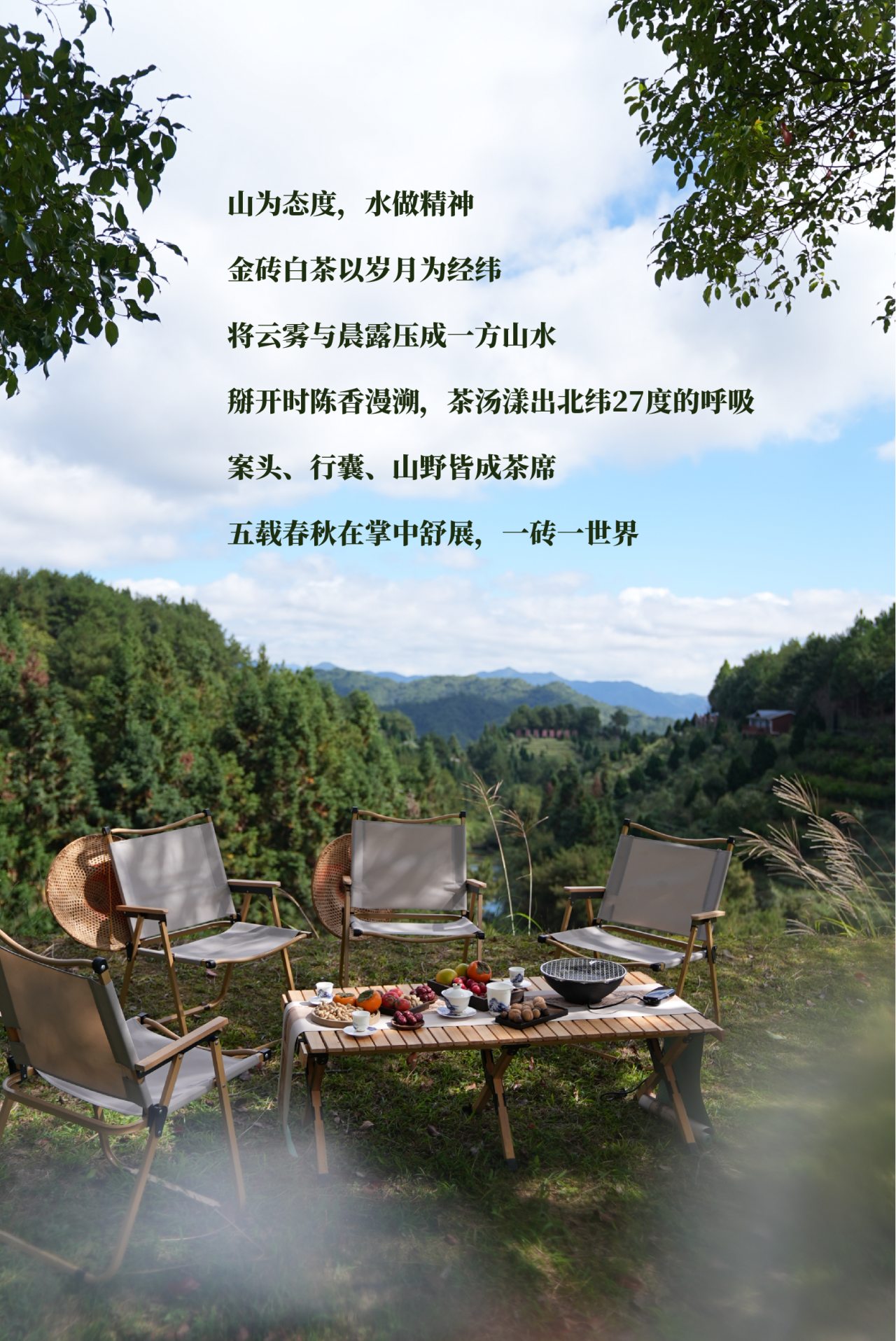 金磚白茶