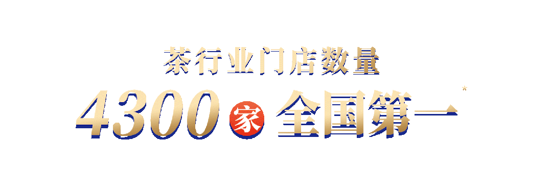 信陽毛尖
