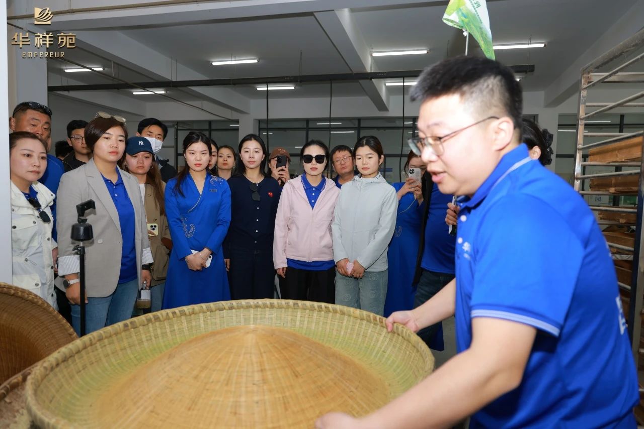 信陽毛尖