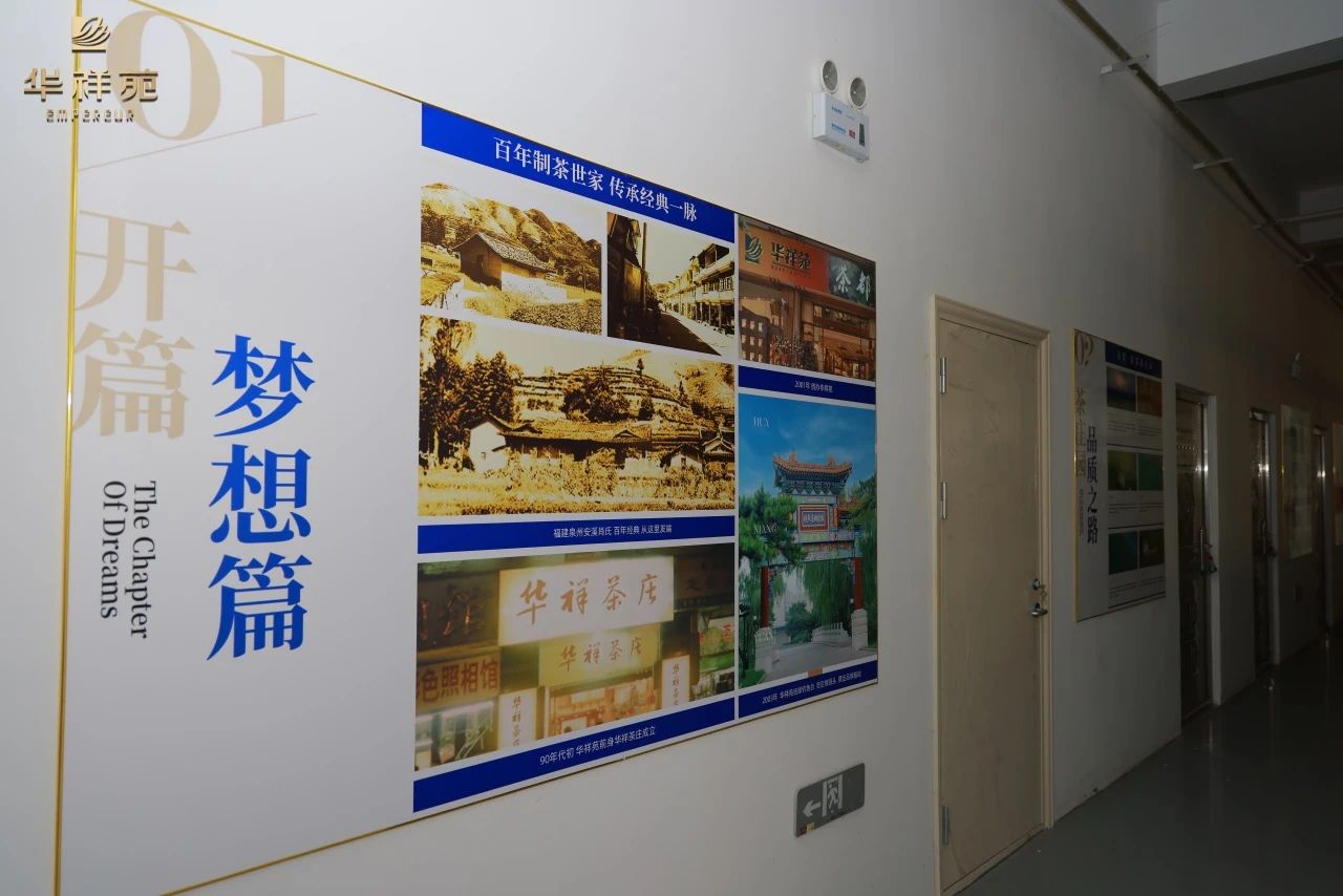 信陽毛尖