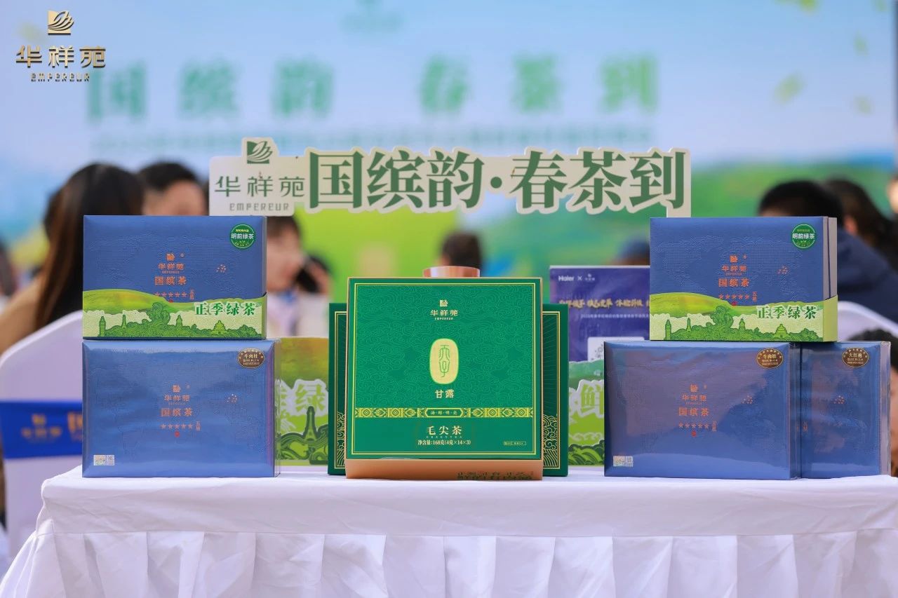 信陽毛尖