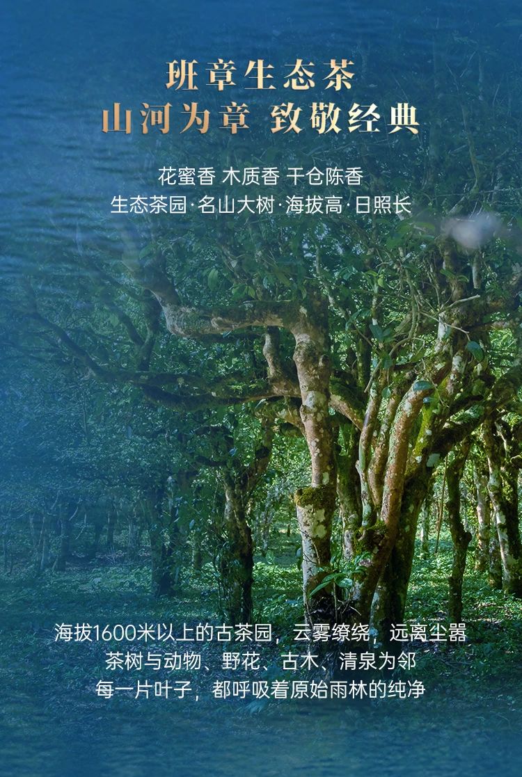 班章冰島