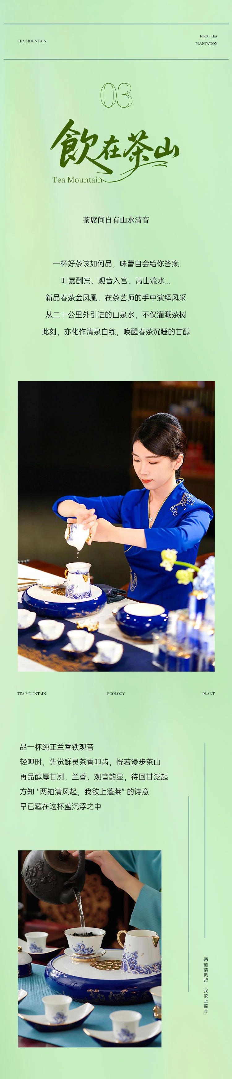 茶莊園