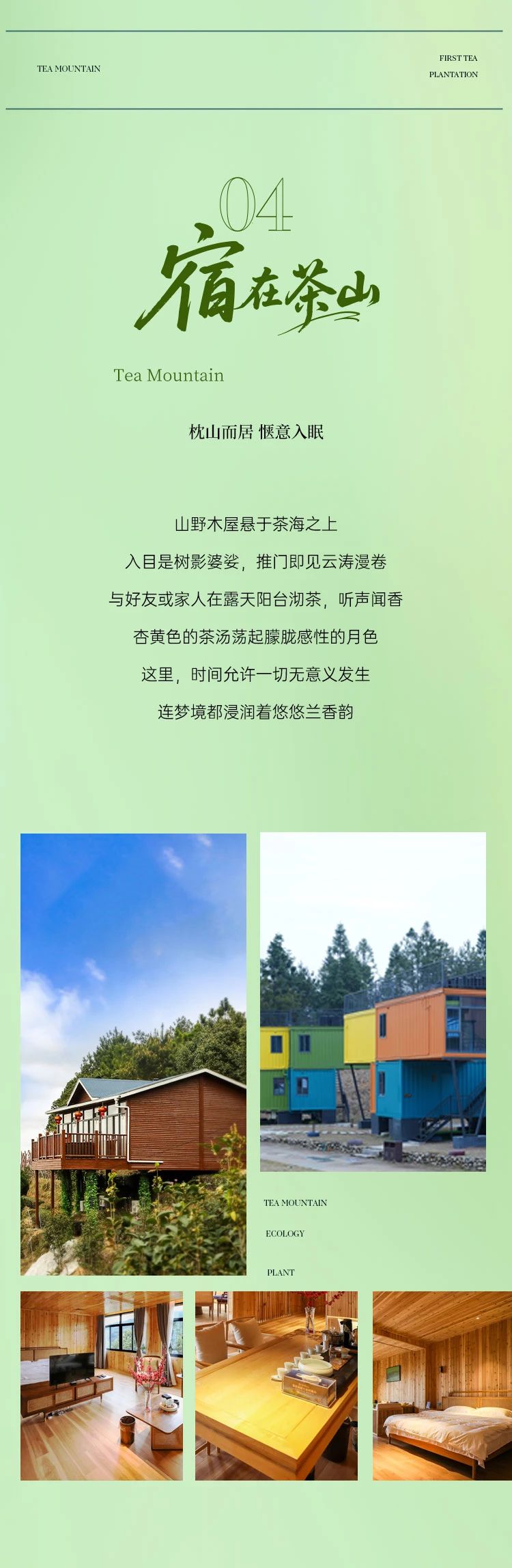 茶莊園