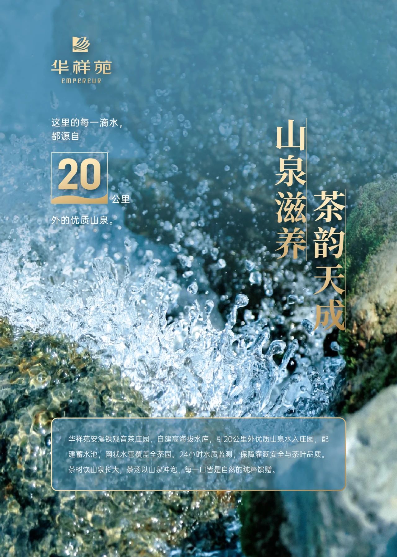 安溪鐵觀音