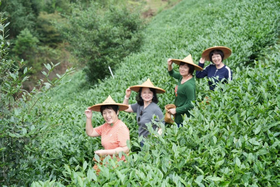華祥苑會員