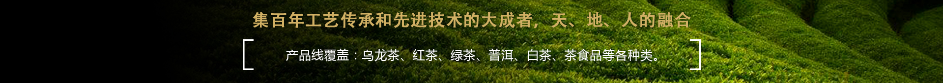 茶樓加盟店多少錢