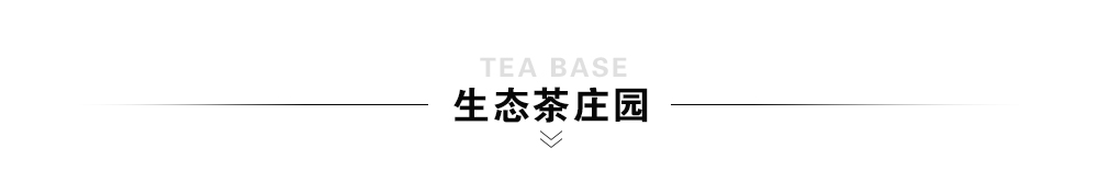 茶葉品牌加盟店